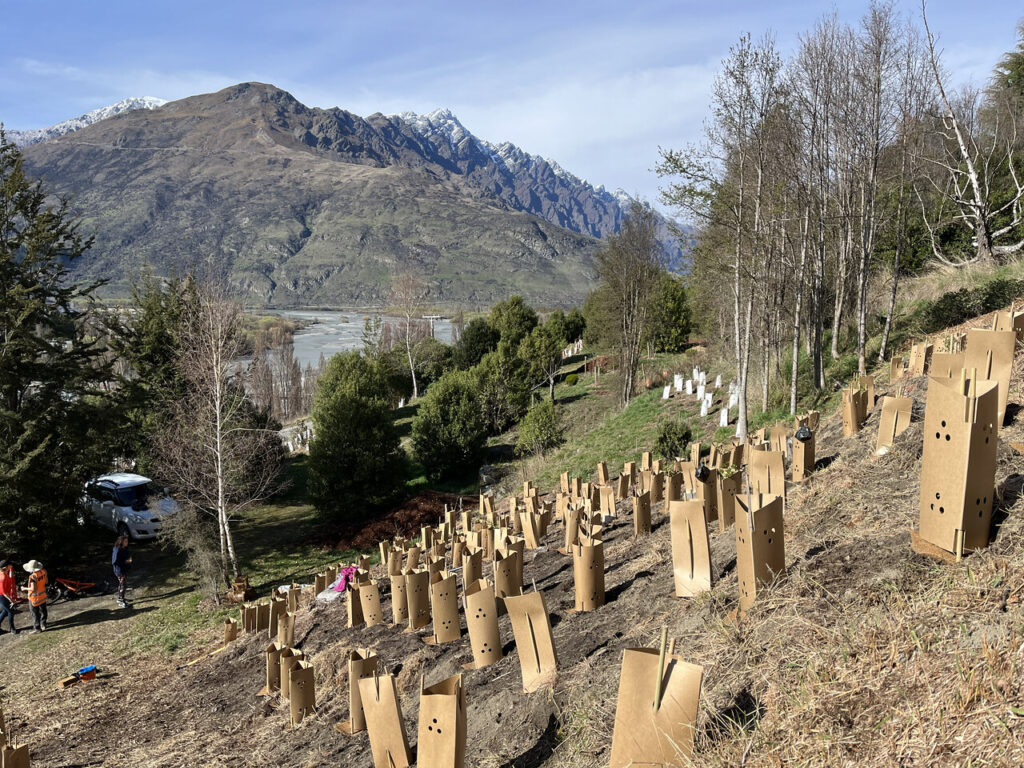 Quail Rise Planting Day