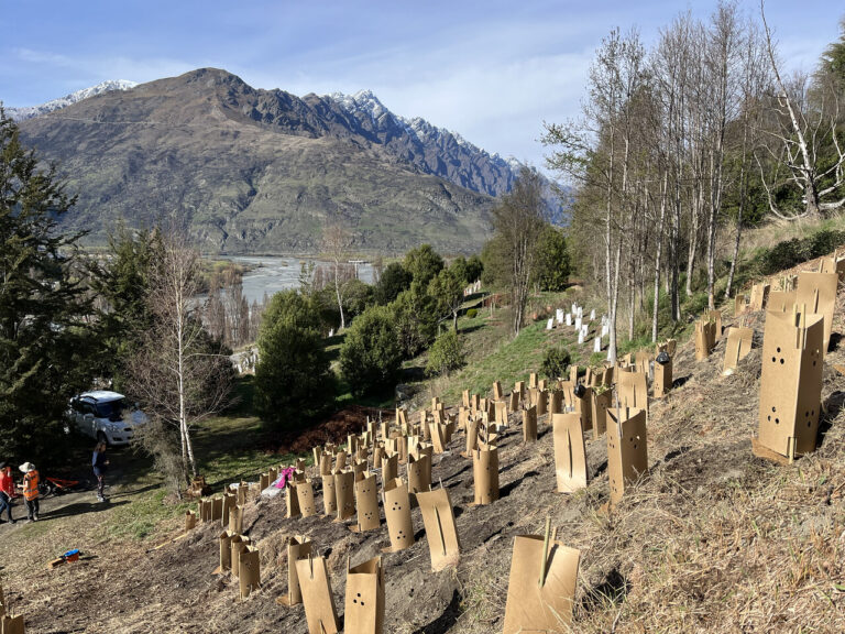 Quail Rise Planting Day